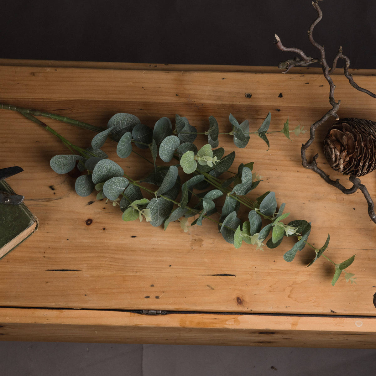 Eucalyptus Spray - Set of 3