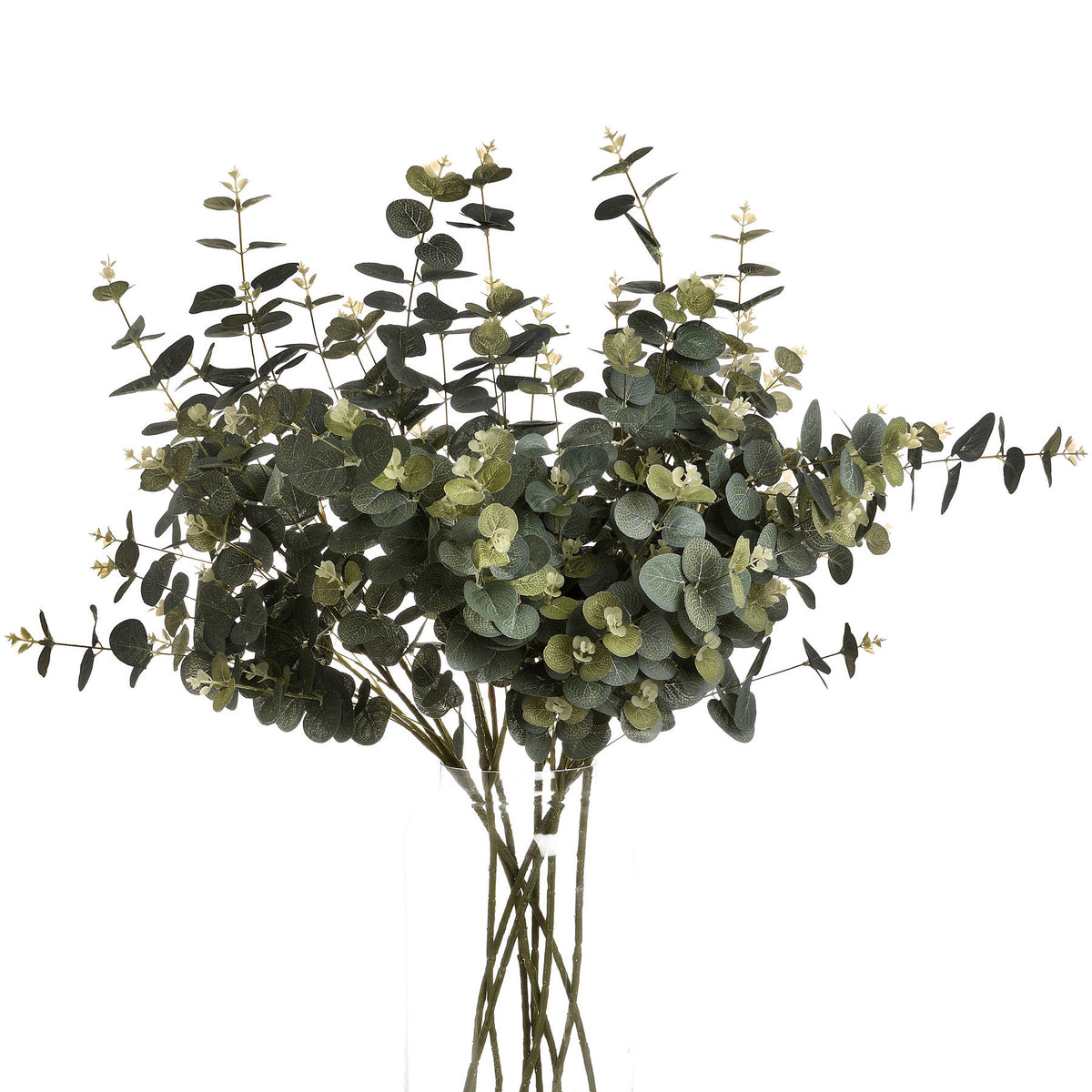 Eucalyptus Spray - Set of 3