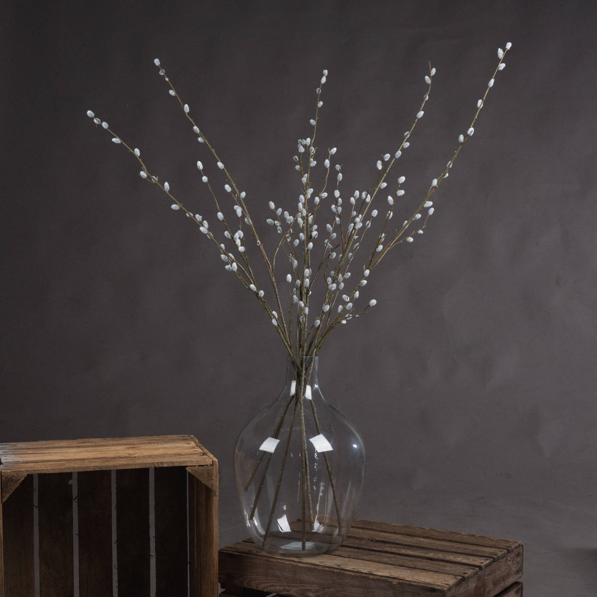 Pussy Willow Branches - Set of 3