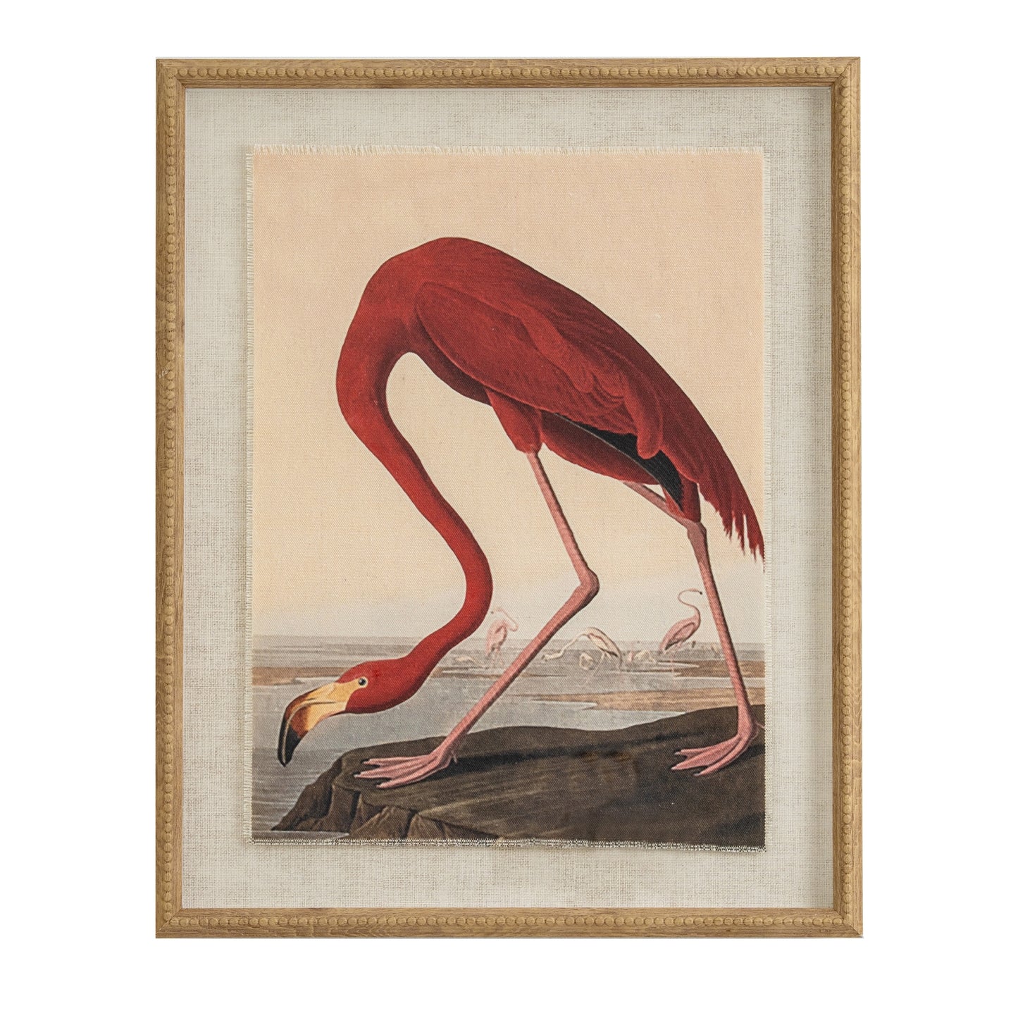 Flora & Fauna Collection Flamingo On Linen In Beaded Frame