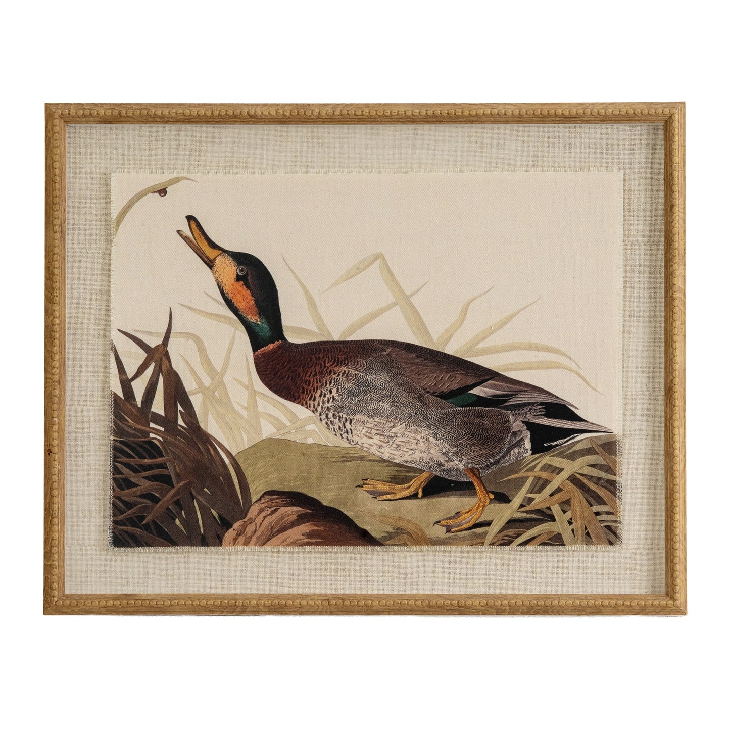Flora & Fauna Collection Duck On Linen In Beaded Frame