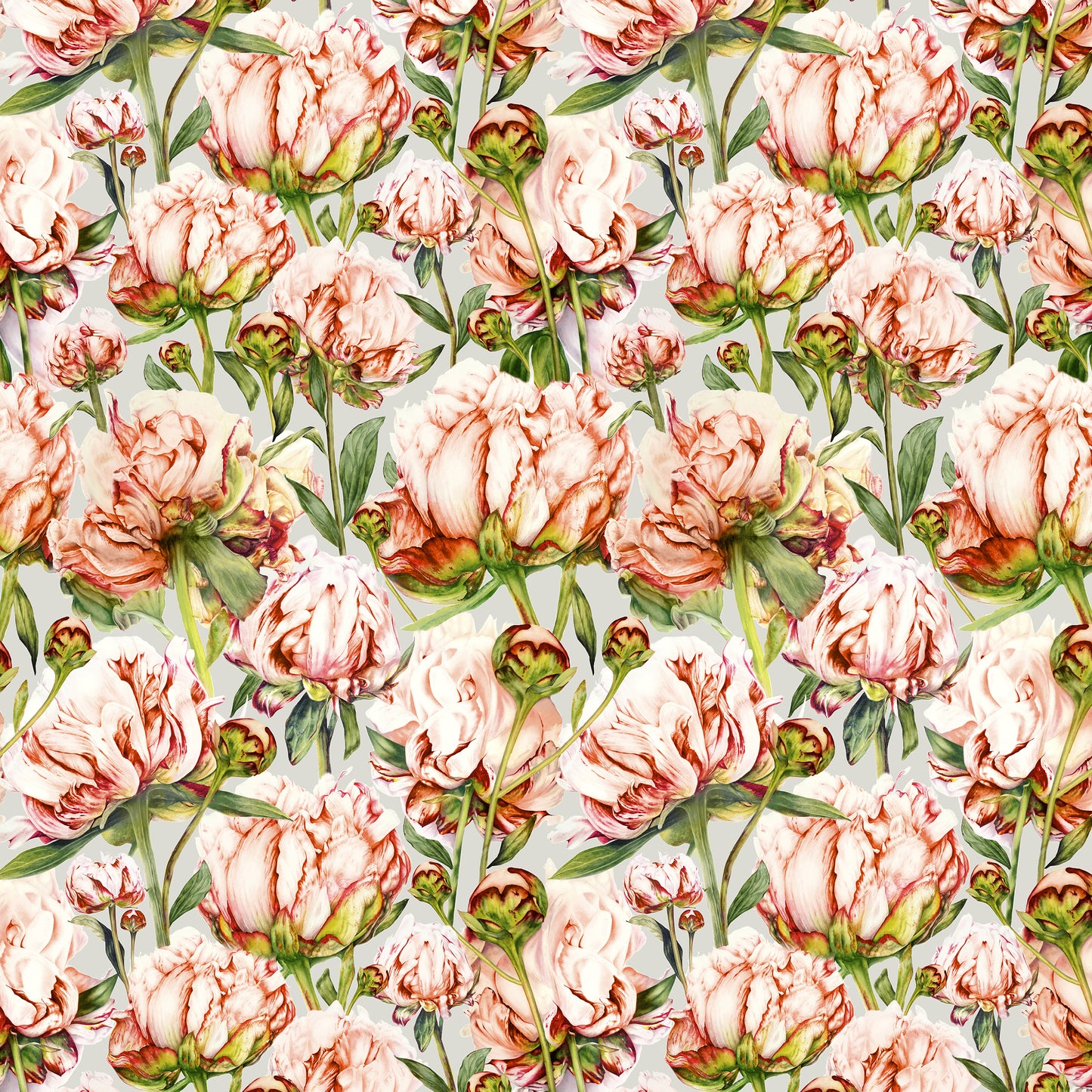 Heligan 145Cm Fabric - Coral Silver Sample