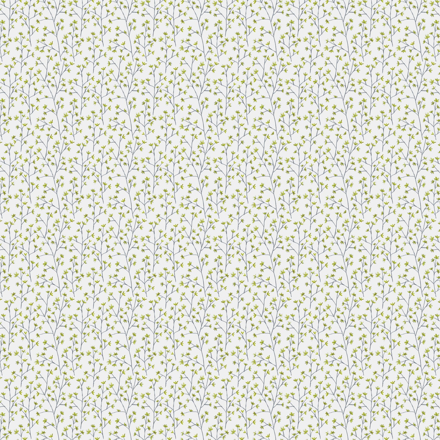 Ophelia Sheer 160Cm Tiree Fabric Metre - Lime Cotton