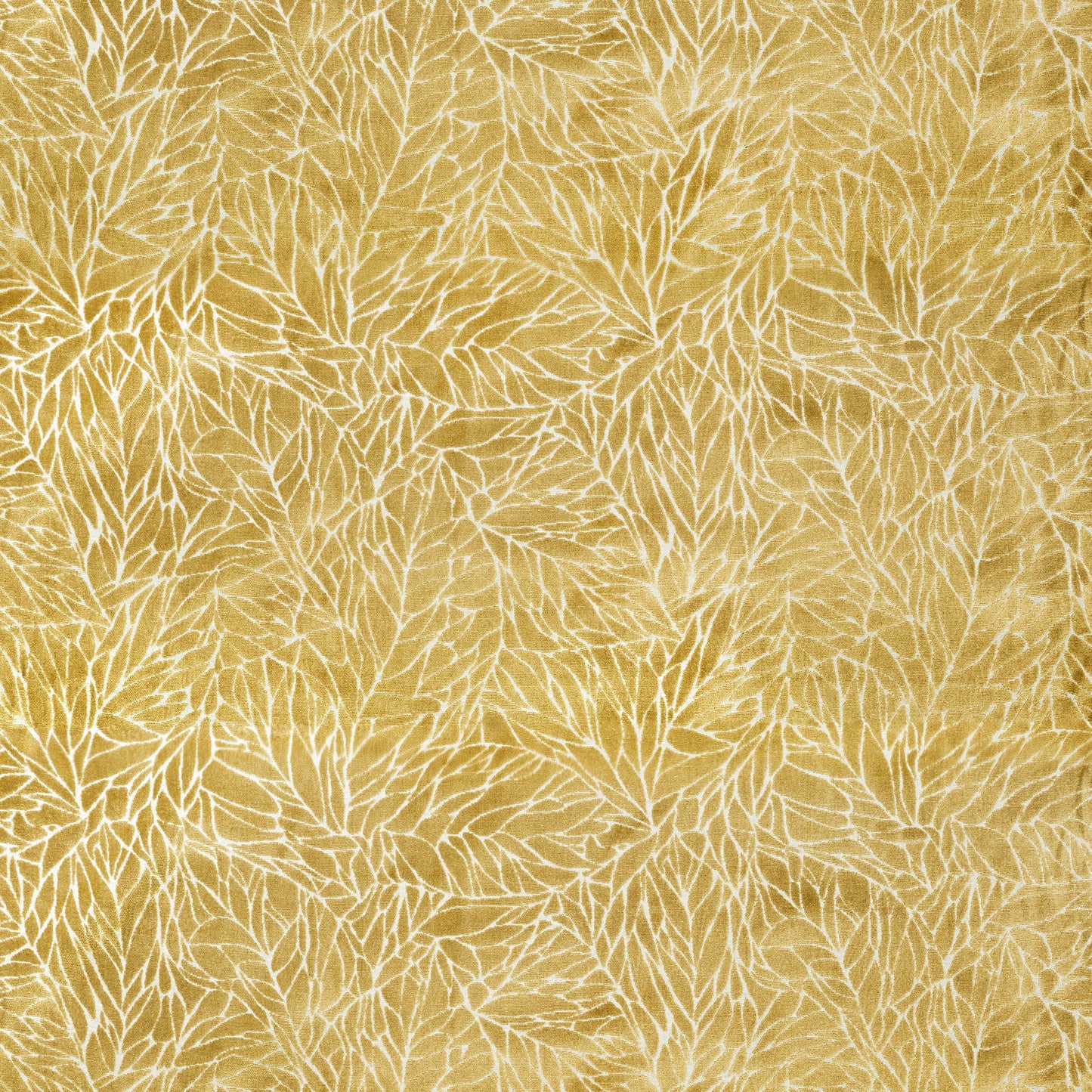Ozul 138Cm Fabric Gold Sample