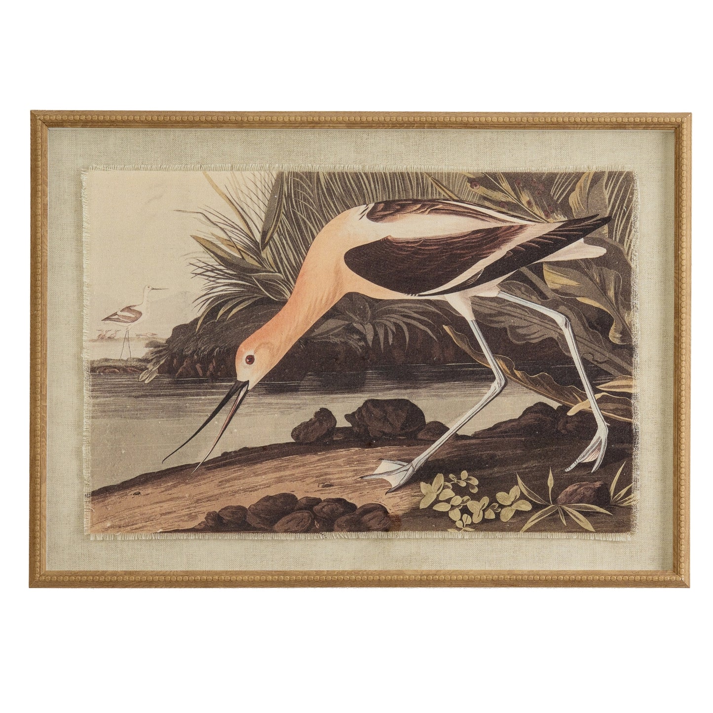 Flora & Fauna Collection Avocet On Linen In Beaded Frame