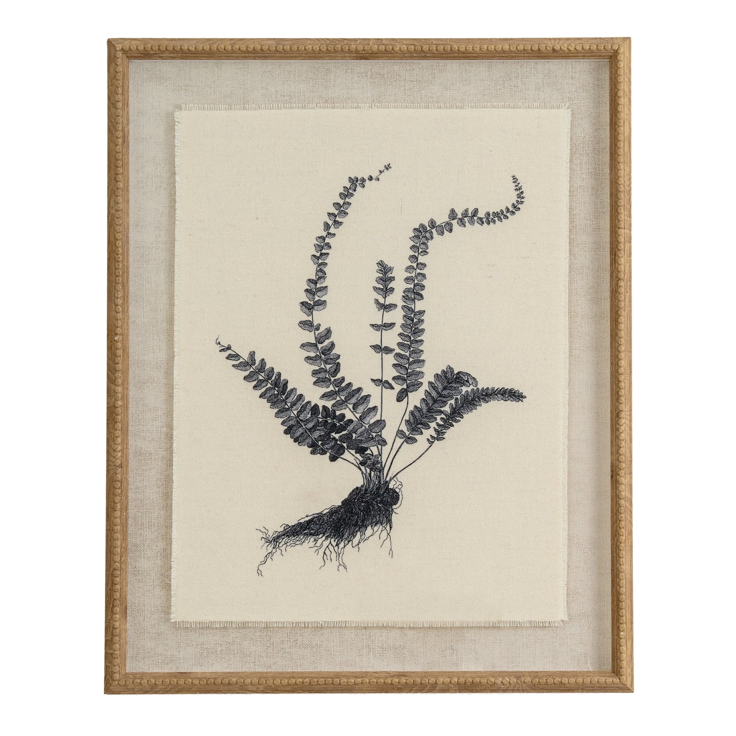 Flora & Fauna Collection Spleenwort On Linen In Beaded Frame