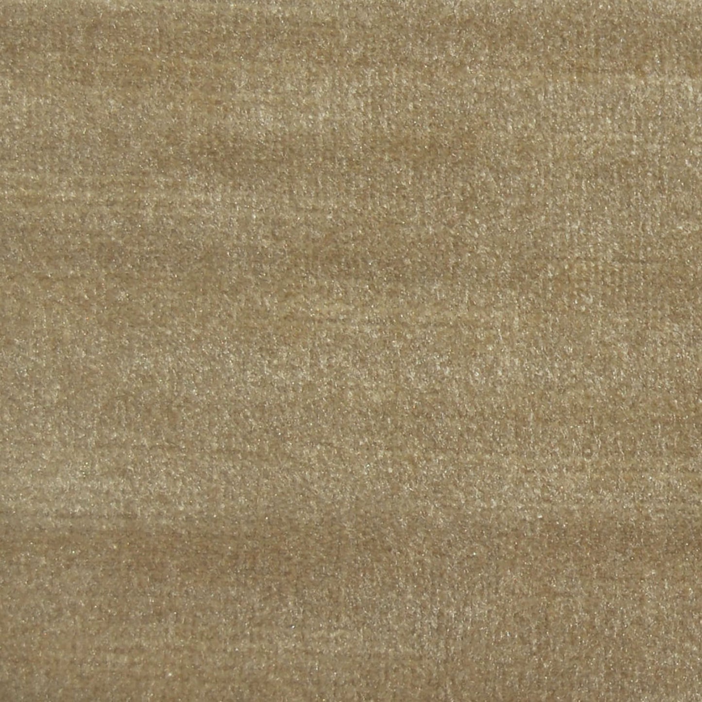 Chiaso 142Cm Fabric Camel Sample