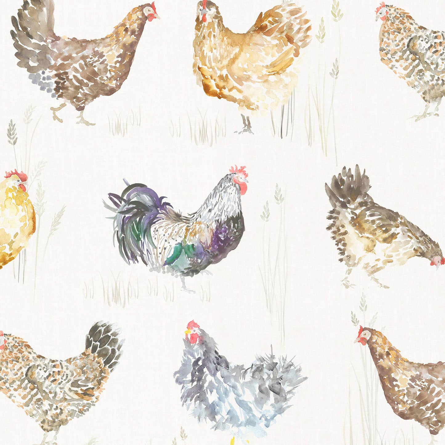 Chook Chook 140Cm Sasha White Fabric - Cream Sample