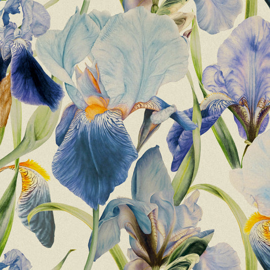 Elva 145Cm Fiona Fabric Metre - Bluebell
