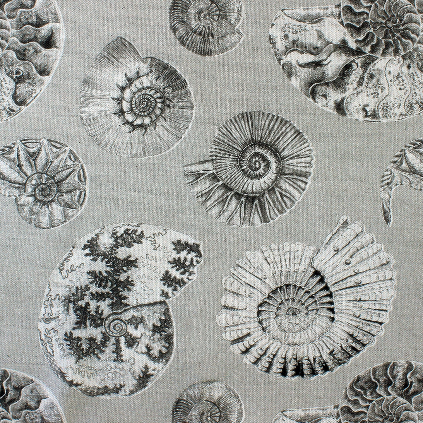 Fossilium 145Cm Fiona Fabric - Sepia Sample