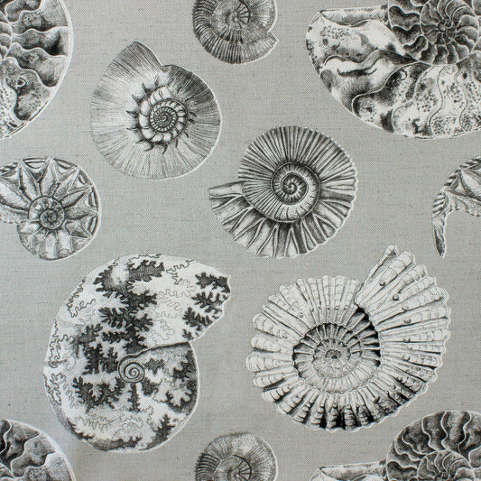 Fossilium 145Cm Fiona Fabric - Sepia Sample
