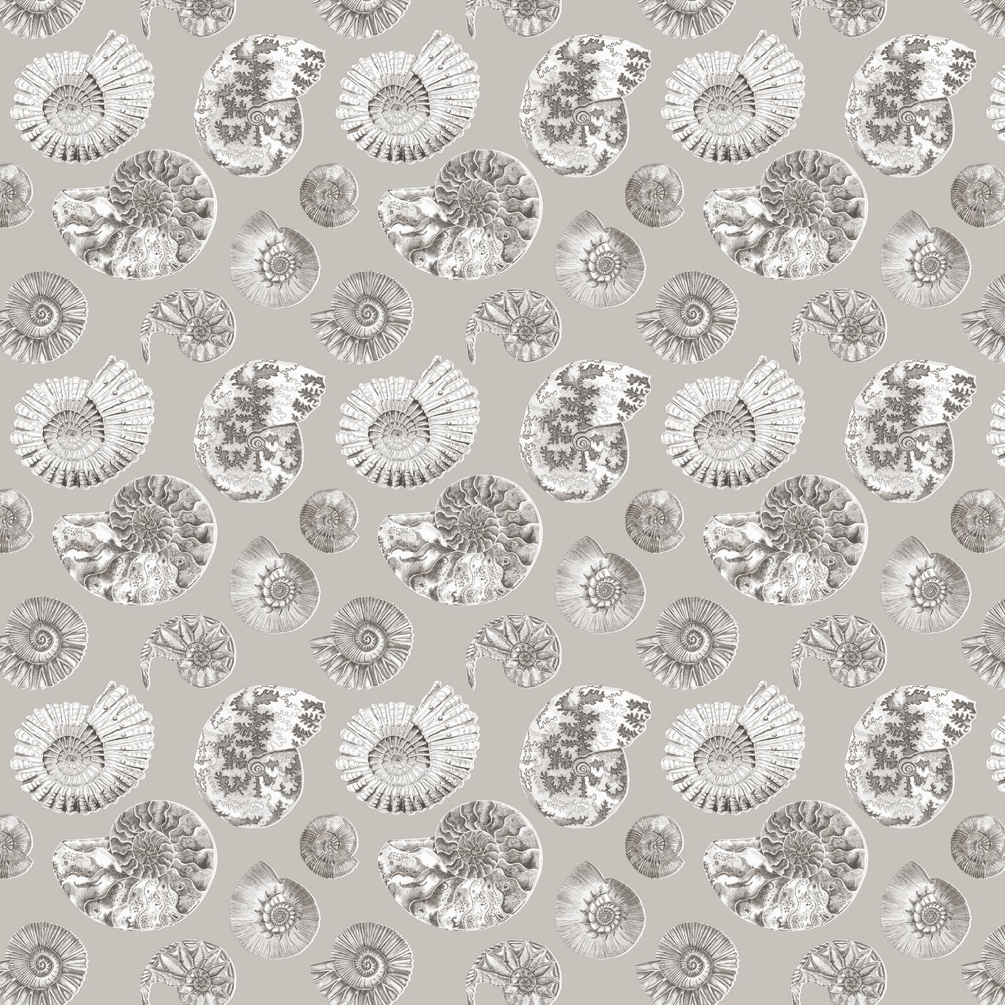 Fossilium 145Cm Fiona Fabric - Sepia Sample