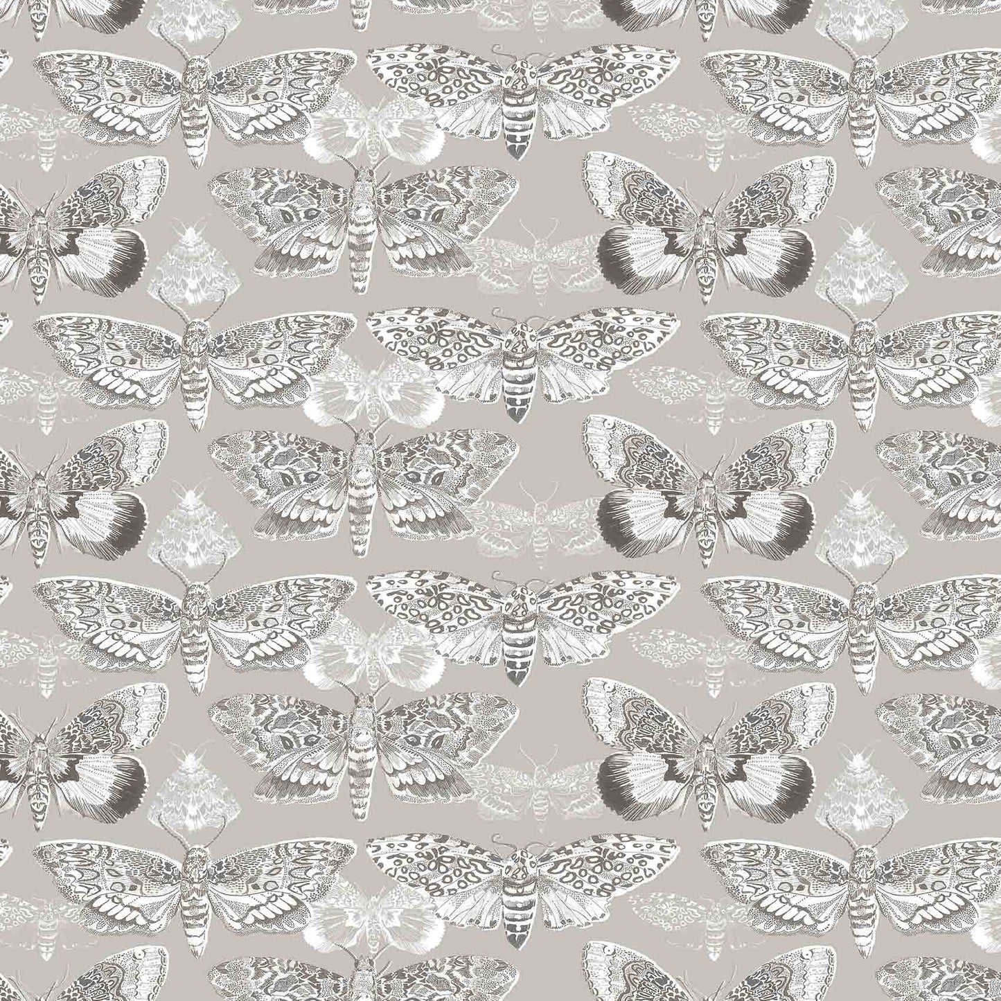 Nocturnal 145Cm Fiona Fabric - Sepia Sample