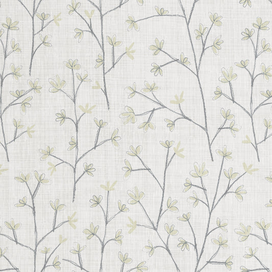 Ophelia Sheer 160Cm Tiree Fabric Metre - Dove Cotton
