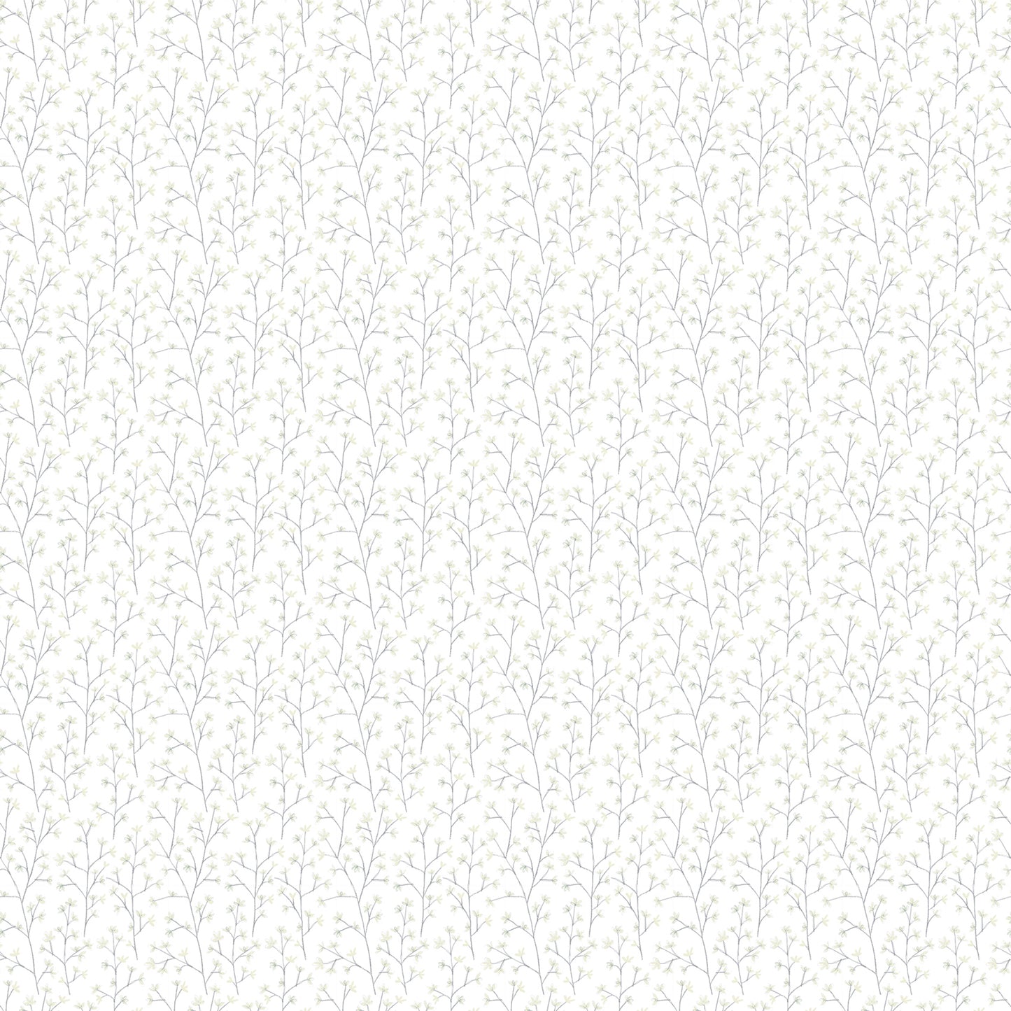 Ophelia Sheer 160Cm Tiree Fabric Metre - Dove Cotton
