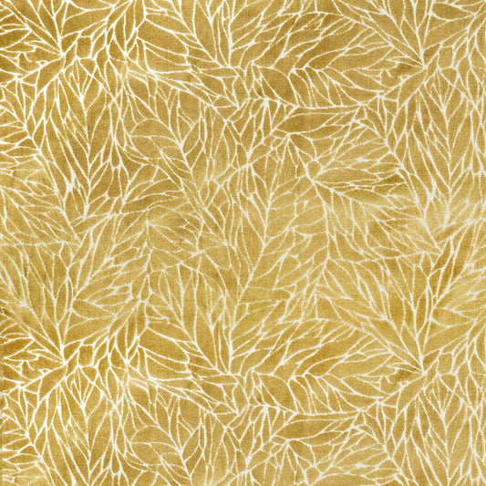 Ozul 138Cm Fabric Gold Sample