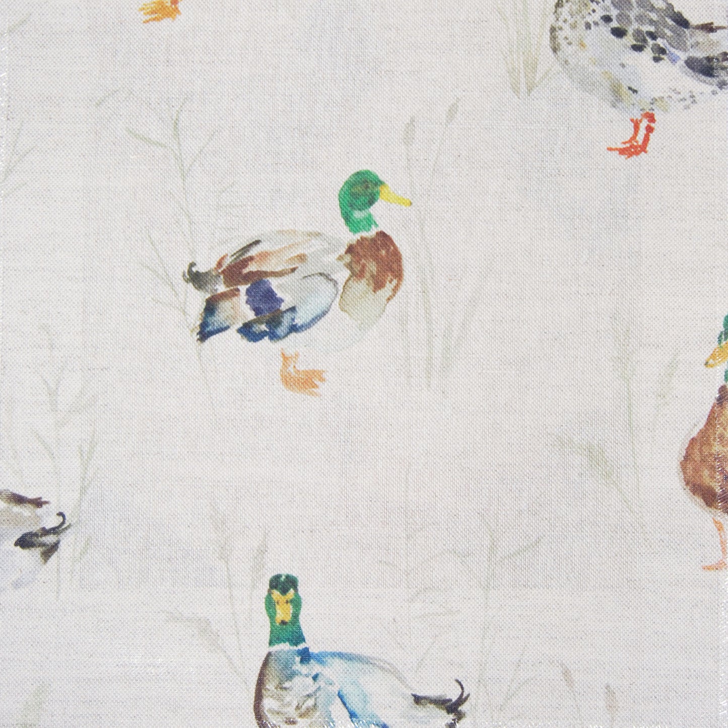 Paddling Ducks Mini 140Cm Sasha White Fabric Metre - Cream