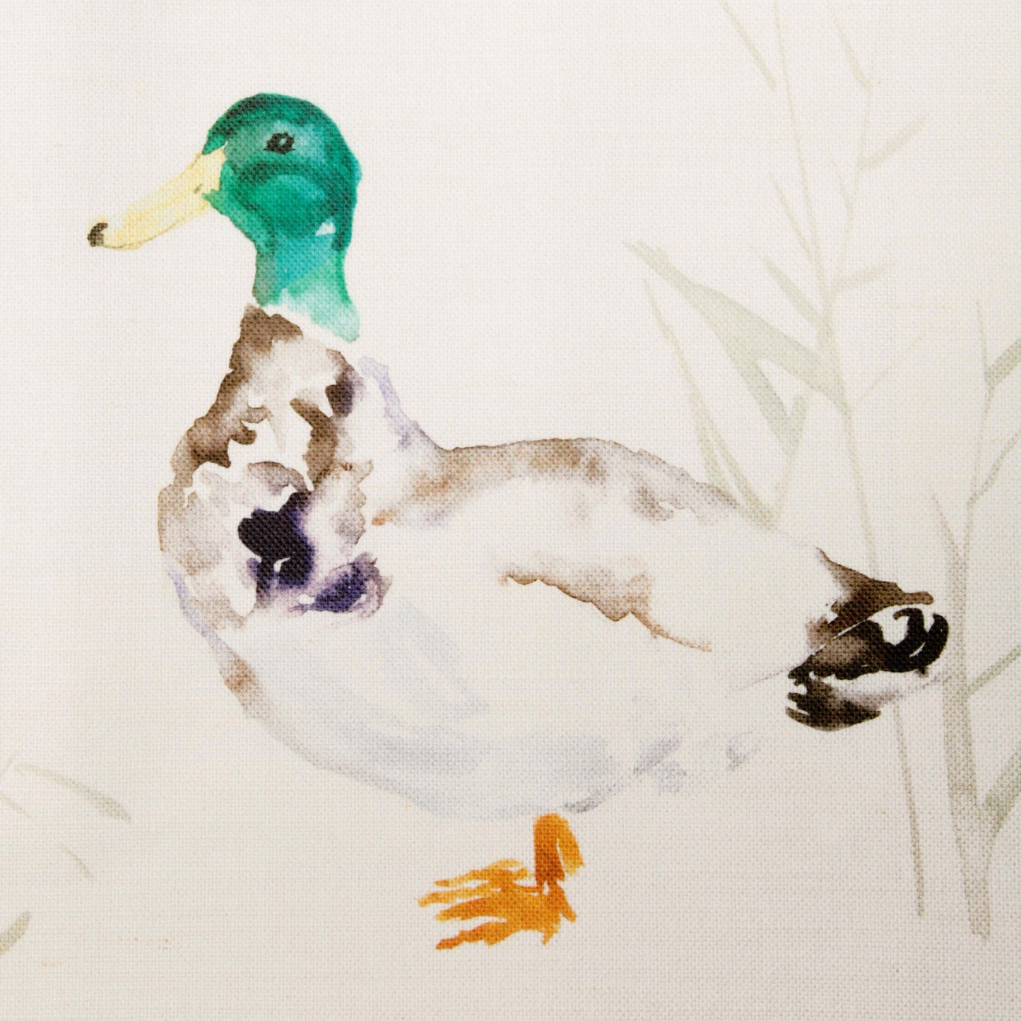 Paddling Ducks 140Cm Sasha White Fabric Metre - Cream
