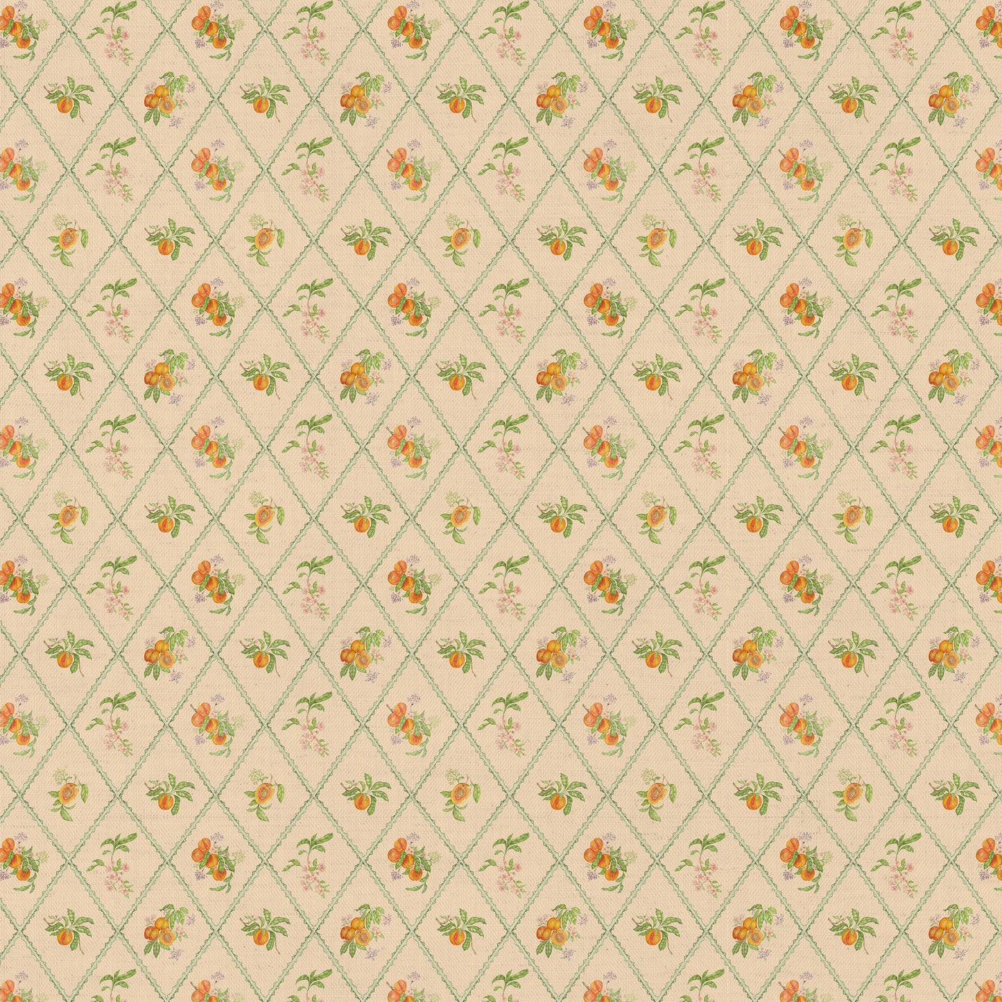 Peach Trellis 140M Fabric Sample Melba