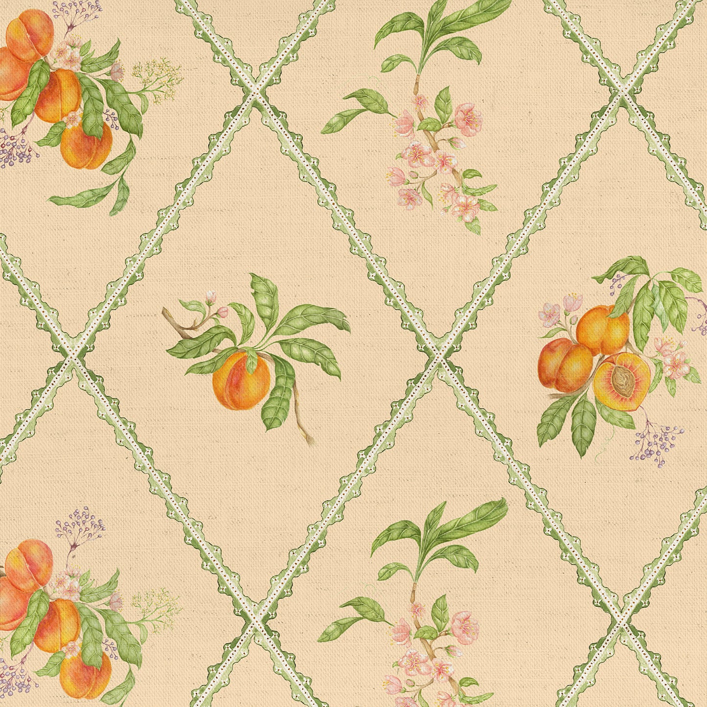 Peach Trellis 140M Fabric Sample Melba
