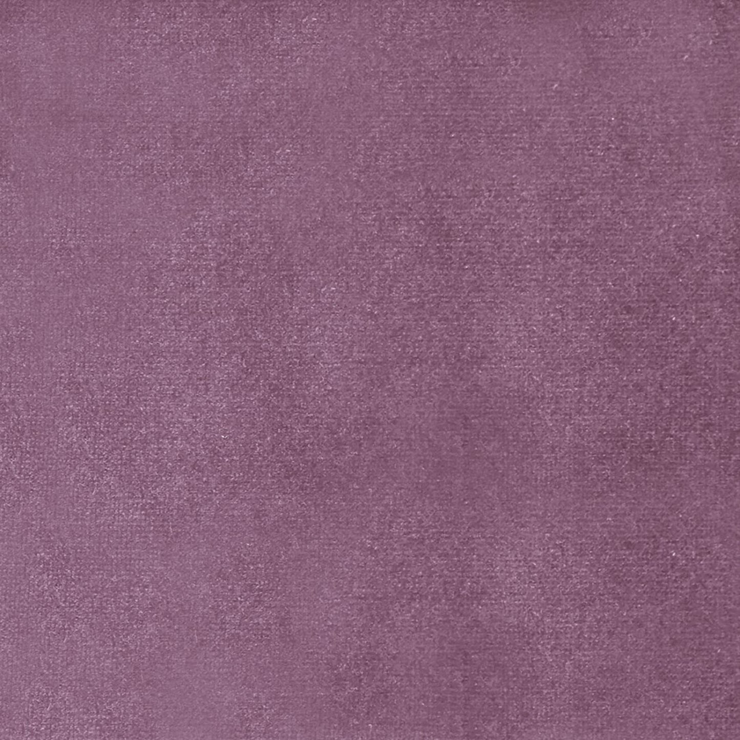 Zircon Sapphire 138Cm Fabric Rose Sample
