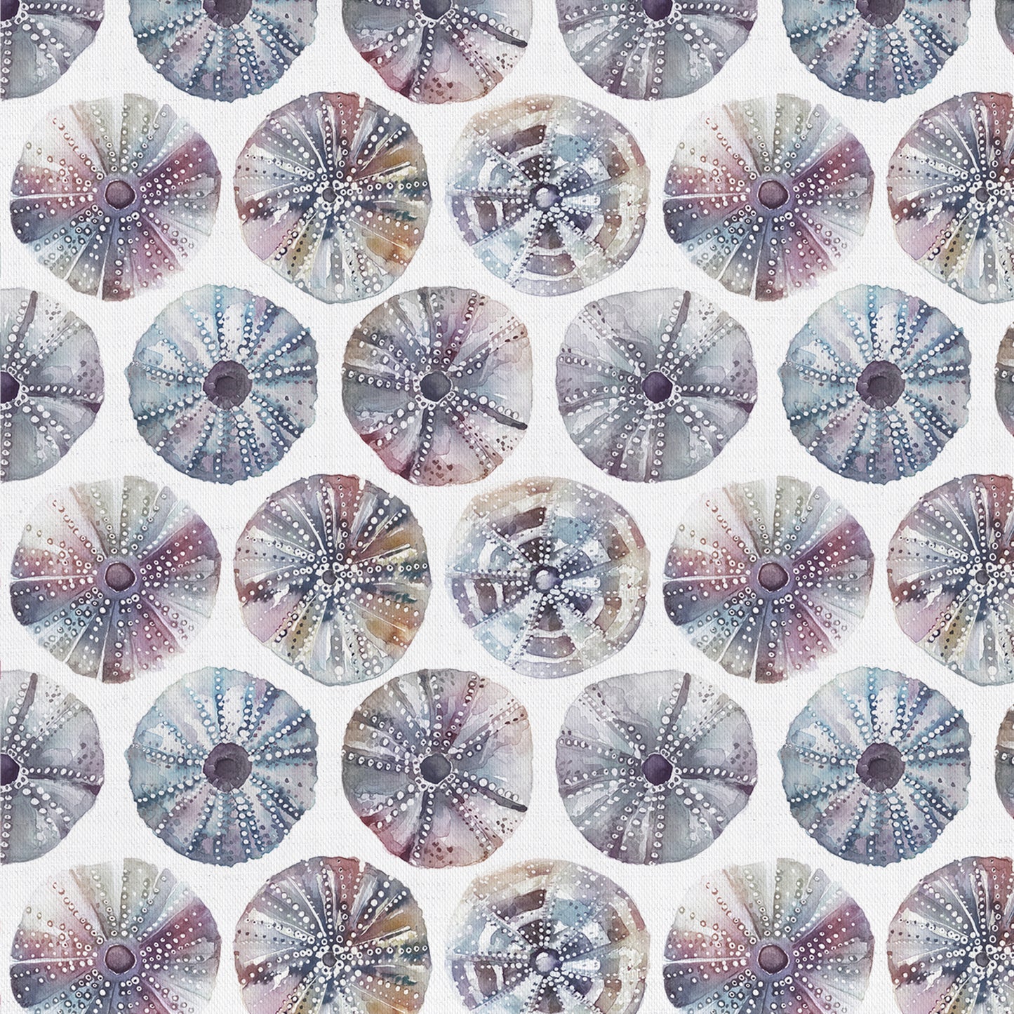 Sea Urchin 147Cm Helena Fabric - Abalone Sample
