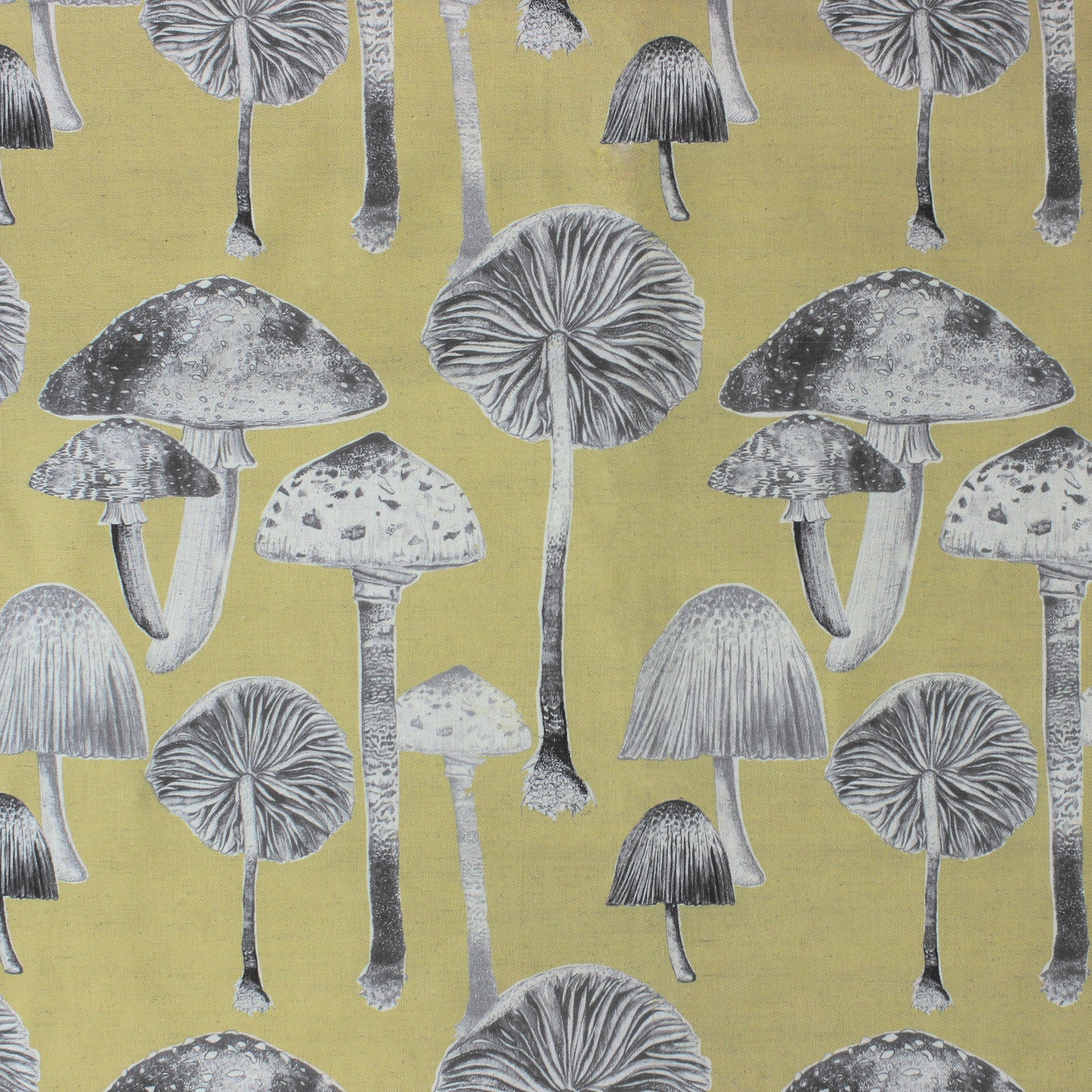 Toadstools 145Cm Fiona Fabric Metre - Corn