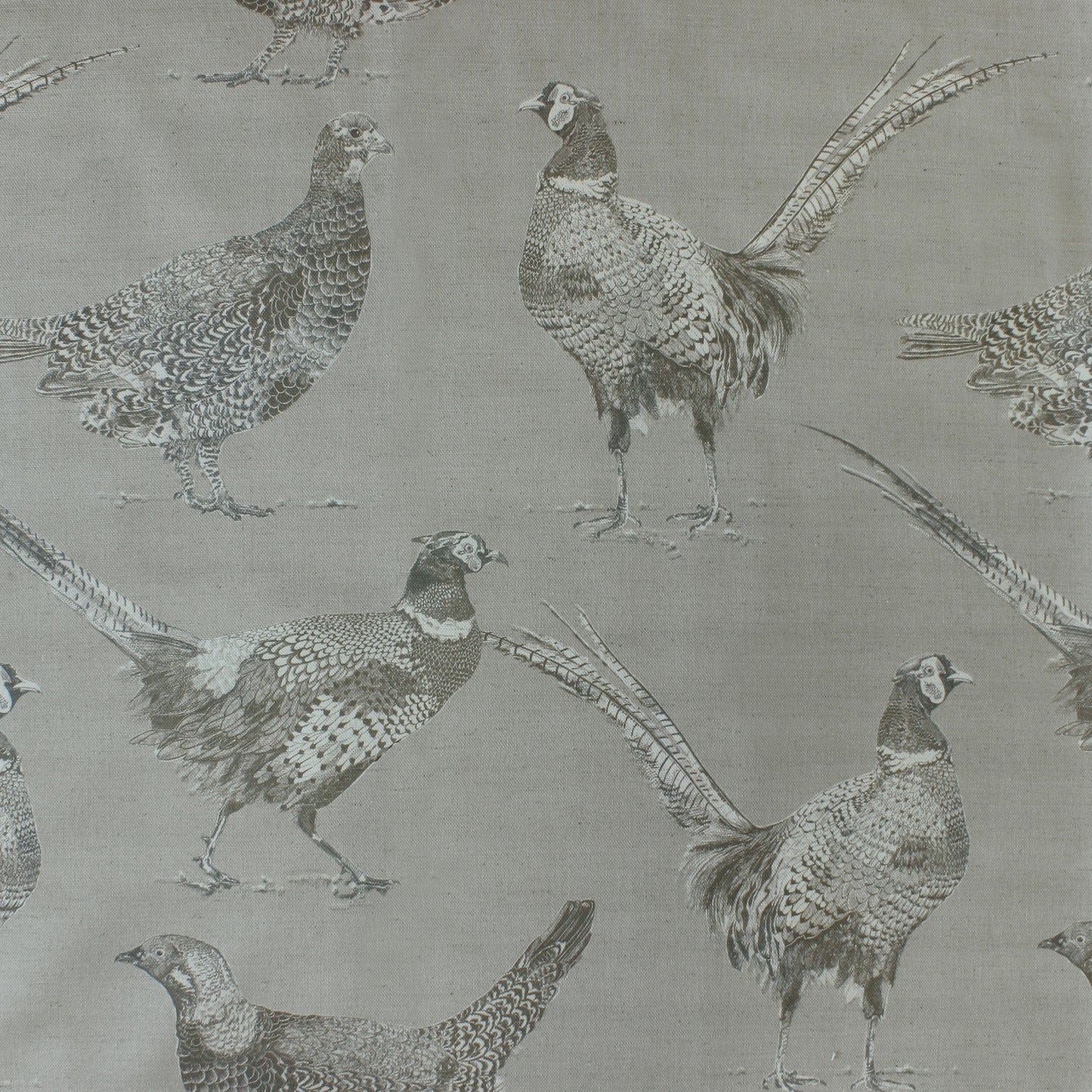 Venatu 145Cm Fiona Fabric - Sepia Sample