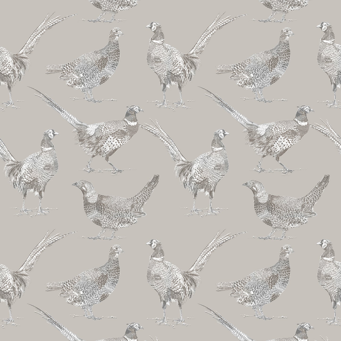 Venatu 145Cm Fiona Fabric - Sepia Sample