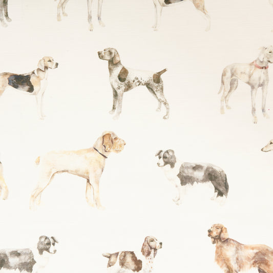 Walkies 140Cm Sasha White Fabric - Cream Sample