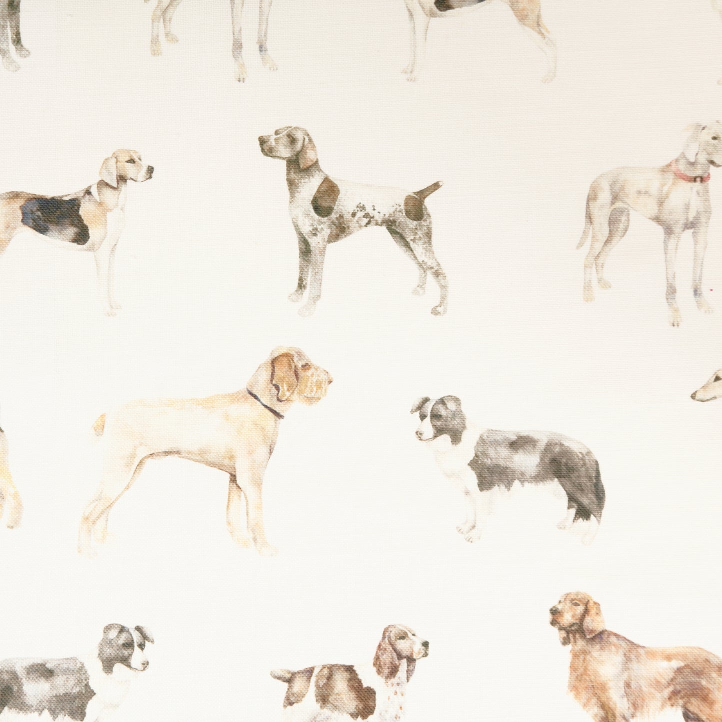 Walkies 140Cm Sasha White Fabric Metre - Cream