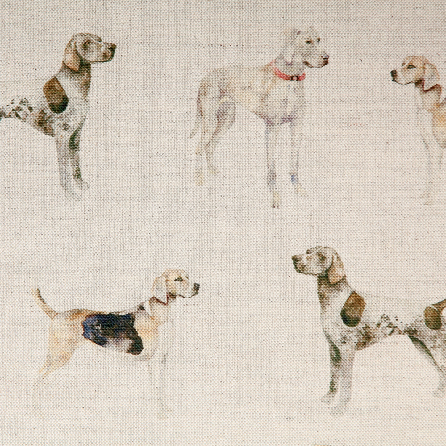 Walkies 140Cm Sasha Linen Fabric Metre - Linen
